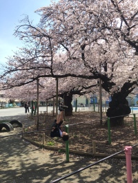斉田季実治ツイッター画像