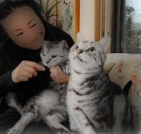 小山実稚恵と猫の画像