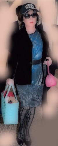 稲田朋美画像