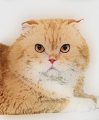 ティティ画像