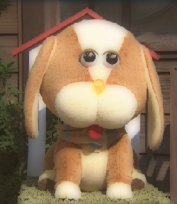 岐阜犬画像