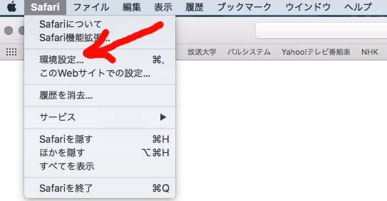 キャッシュ削除：サファリ環境設定画像