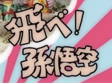 飛べ孫悟空 動画第1話-最終回の無料視聴方法！ピンクレディの主題歌